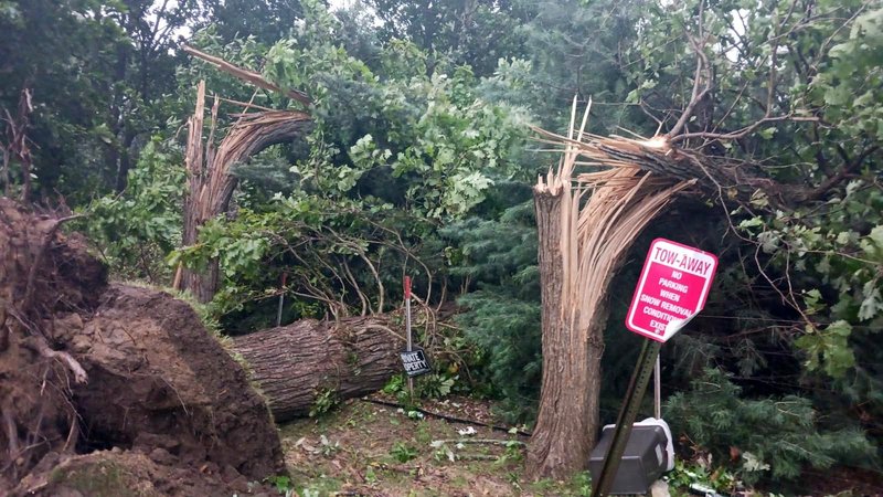 Storm damage cleanup service