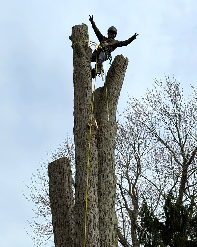 StumpWerx Tree Service team